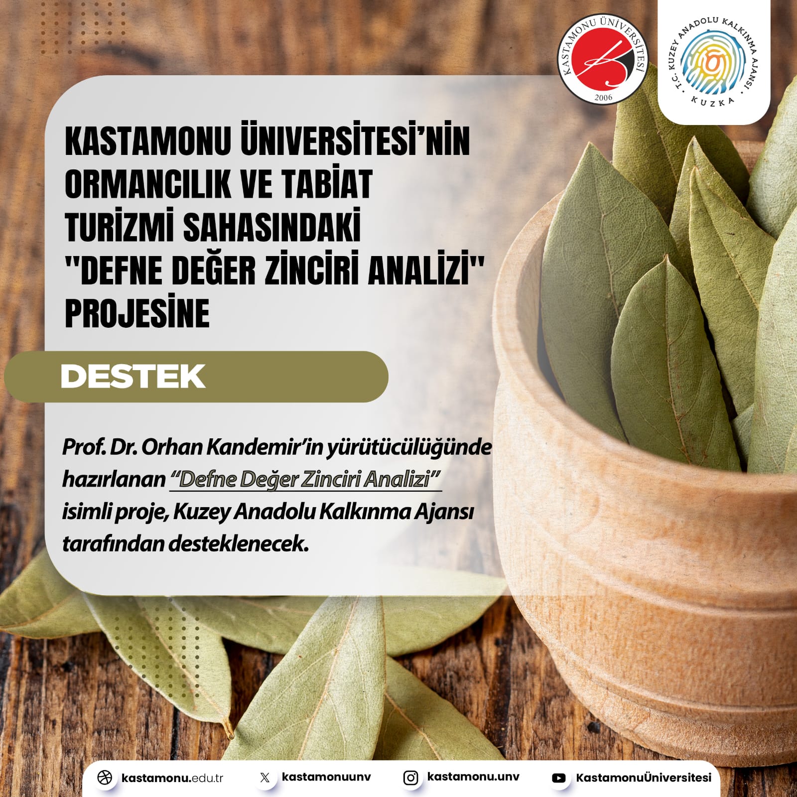 Bölgesel Kalkınma Alanında Önemli Bir Adım: "Defne Değer Zinciri Analizi" Projesi Desteklenmeye Hak Kazandı